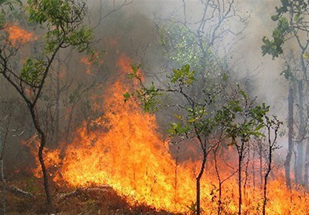 آتش‌سوزی در مراتع دشتستان مهار شد