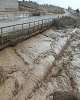 تحقق ۸۲ درصد بارندگی سالانه در استان بوشهر